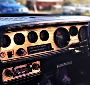 2020-06-08~ Our Trans Am (2).JPG